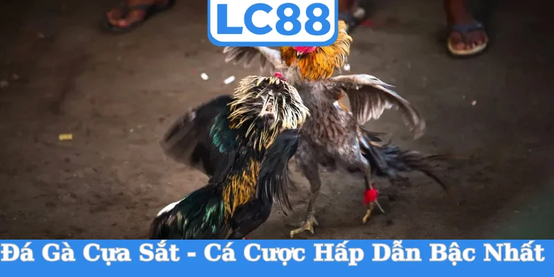 da-ga-cua-sat